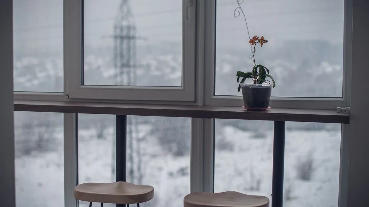 Houseplant on a windowsill with a snowy winter landscape outside the glass