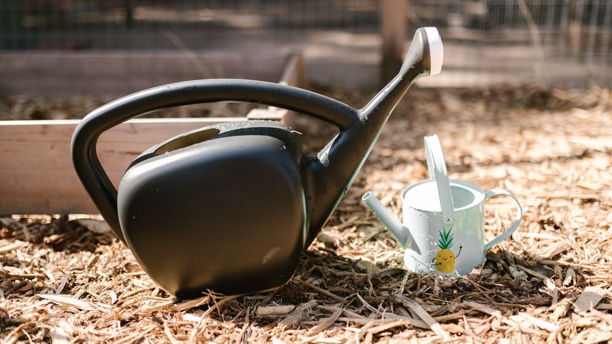 Watering can and small plants on a table with a checklist