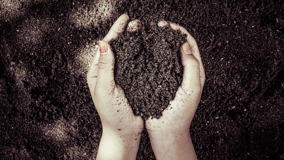 Two hands cupping dark, dense clay soil in a garden bed